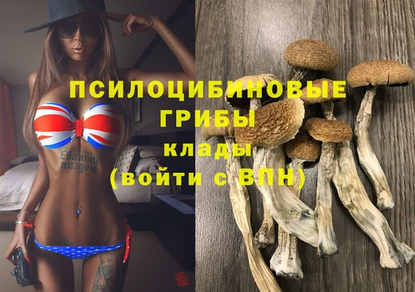 spice Балахна