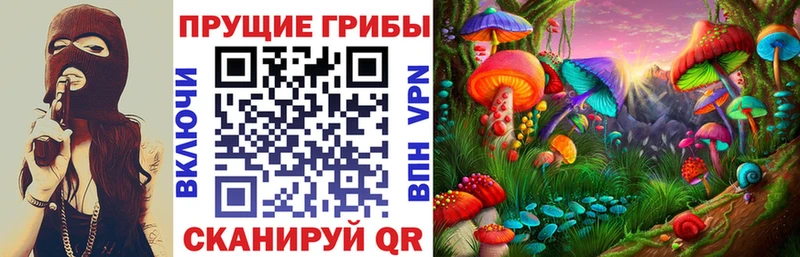 Галлюциногенные грибы Psilocybine cubensis  Пересвет 